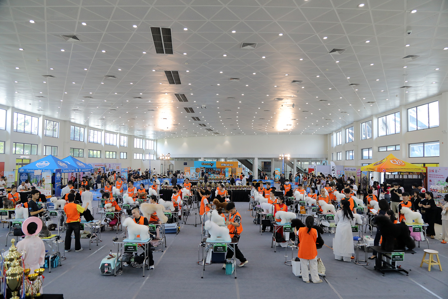 h45 2 TourBizVn Tin tức online cập nhập 247