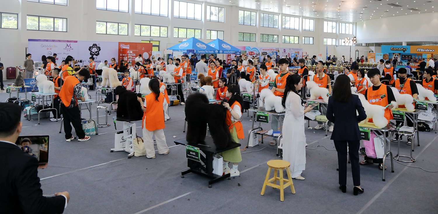 h45 3 TourBizVn Tin tức online cập nhập 247