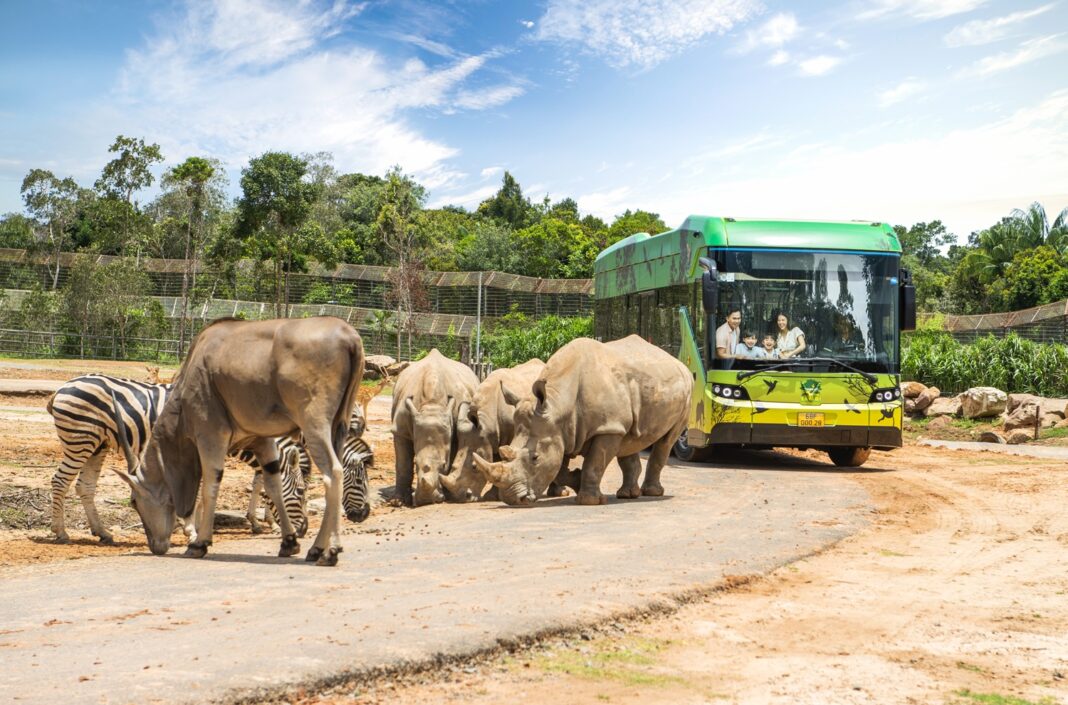 Những “hành khách” đặc biệt, bay chuyên cơ tới Safari giữ “kỷ lục kép” của Vinpearl giờ ra sao?